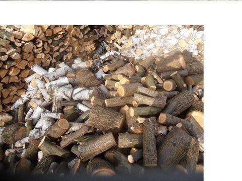 Drewno kominkowe lub opałowe pocięte na odcinki 30-32 cm i połupane. Transport. tel. 792057780