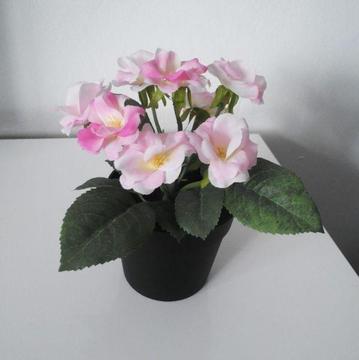 Sztuczna roślina doniczkowa, Róża z ikei