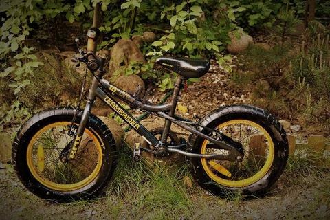 Rowerek, rower dla chłopca BMX TEAMRIDER Little Boss 16