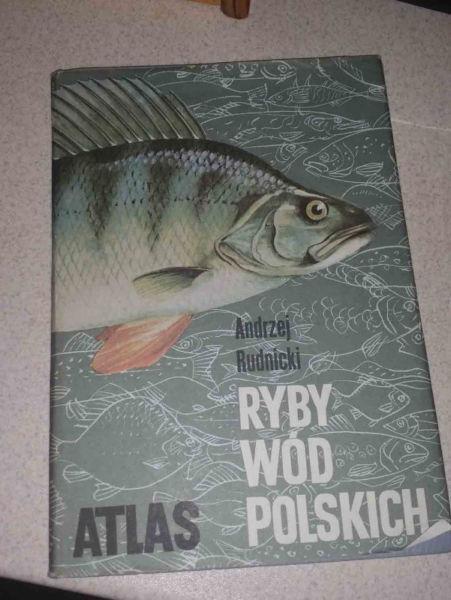 Ryby wód Polskich Atlas Andrzej Rudnicki