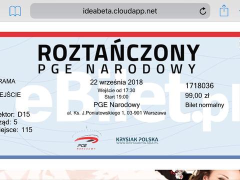 Bilet PGE Narodowy