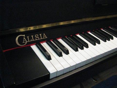 Pianino Calisia - model Tonica + gratis krzesło do pianina
