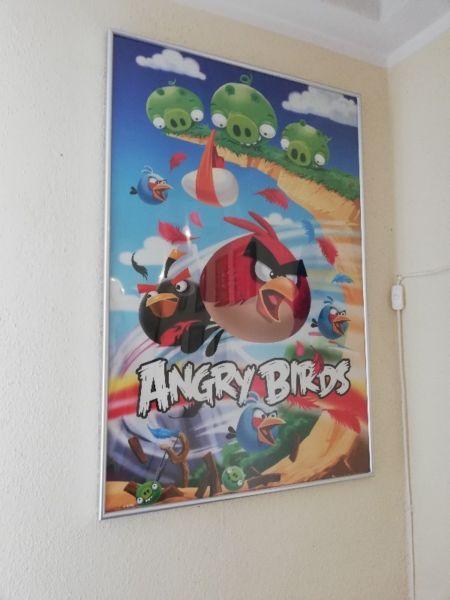 Obraz /plakat Angry Birds