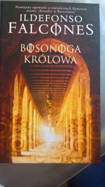 Ildefonso Falcones- Bosonoga królowa