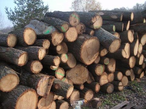 drewno komnikowe i opałowe w wałkach okrąglaki s2a drewno stosowe lisciaste i iglaste