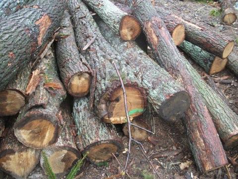 drewno iglaste i lisciaste wałki stosowe okrąglaki opałowe do kominka drewno s2a metrówki