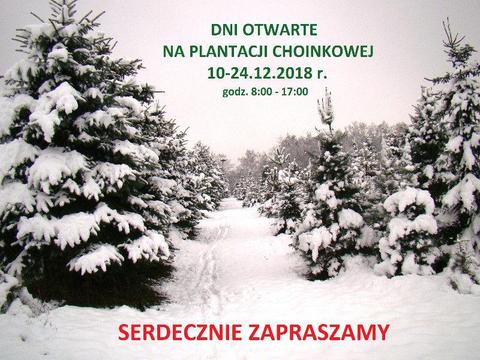 Dni Otwarte 2018 - Plantacja choinek - Zapraszamy !!!!