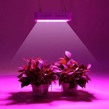 Lampa Light 1000W Full Spectrum Led Grow Lights do wzrostu roslin podwojny chip