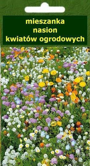 kwiaty ogrodowe - mieszanka nasion
