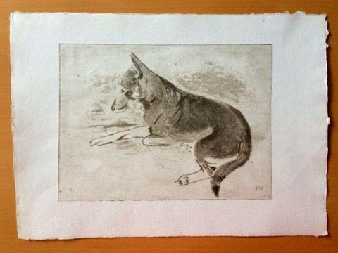 Obrazy litografie psa