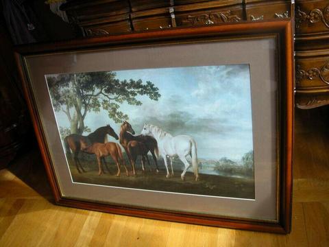 obraz oleodruk za szkłem konie 70/98,5cm